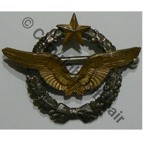 BREVET PILOTE  WW1 B19116  SM 2Anneaux Dos lisse Src.riviere.91 250EurInv 